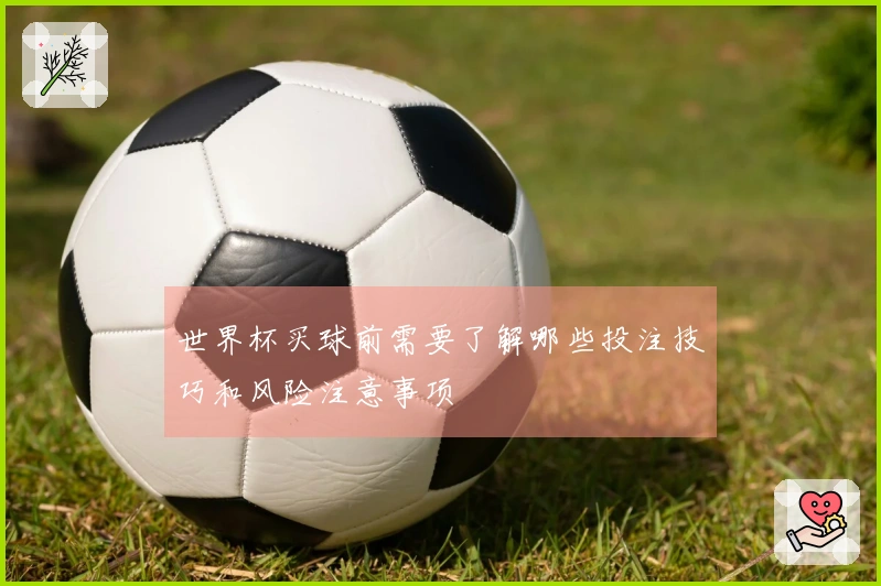 世界杯买球前需要了解哪些投注技巧和风险注意事项