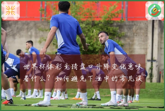 世界杯体彩竞猜盘口升降变化意味着什么？如何避免下注中的常见误区