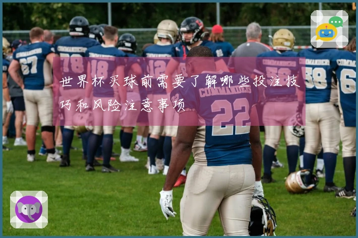 世界杯买球前需要了解哪些投注技巧和风险注意事项