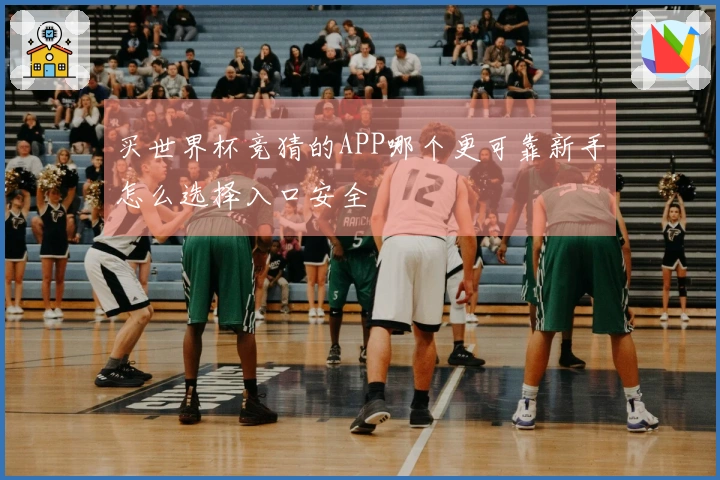 买世界杯竞猜的APP哪个更可靠新手怎么选择入口安全