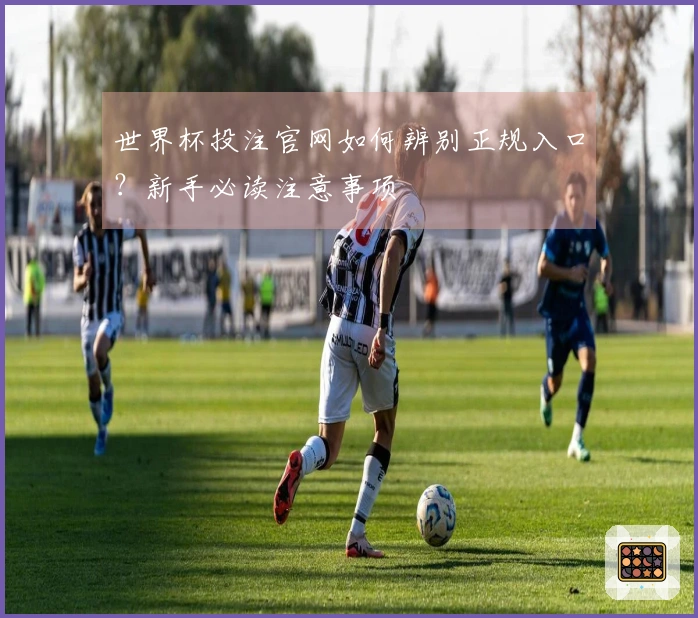 世界杯投注官网如何辨别正规入口？新手必读注意事项